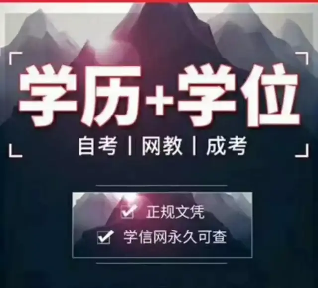 学历提升全指南：成人高考、自考、网络教育与专升本怎么选